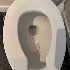 Commercial-Plumbing-Toilet-Unclog-in-Hinsdale-IL 0